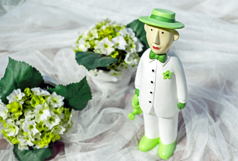 vente-LE CANNET DES MAURES-min_man-person-flower-green-toy-fig-546529-pxhere.com